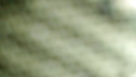 EBONY SLIM T SUCKING MY DICK