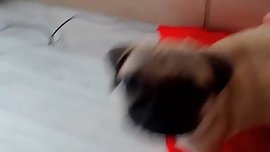 Blonde undress for money