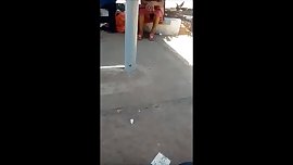 por baixo da saia perna arreganhada