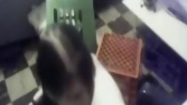 Wildes Paar beim Ficken