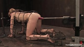 Ami and the Fuck Machines